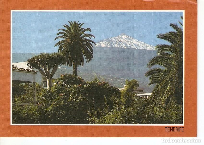 Cartoline: Postal 023925 : El Teide (Tenerife) - Varios