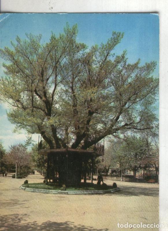 Postcards: Postal 003597: Soria: alameda de Cervantes, Kiosco de la musica - Varios