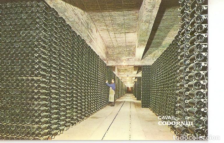 Postales: Postal 048399 : Cavas Codorniu. Botellas envejeciendo - Varios