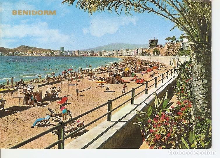Postales: Postal 048419 : Benidorm (Espa&ntilde;a) - Varios - Foto 1