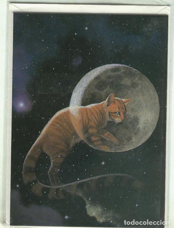 Postcards: Postal 000381: Gato con fondo espacial - Varios