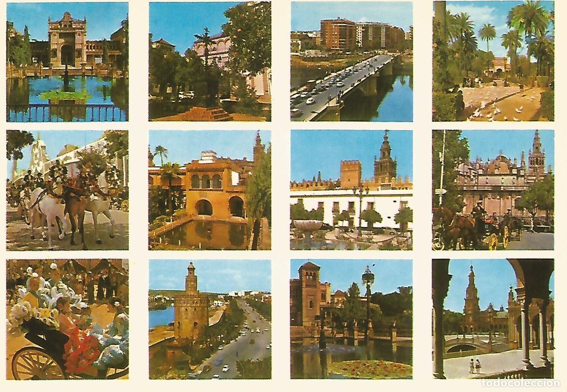 Cartoline: Postal 52027: SEVILLA - Varios aspectos - Varios