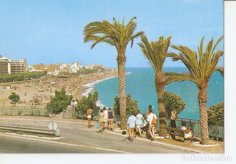 Postkarten: Postal 048575 : Calella. Playa y Palmeras - Varios