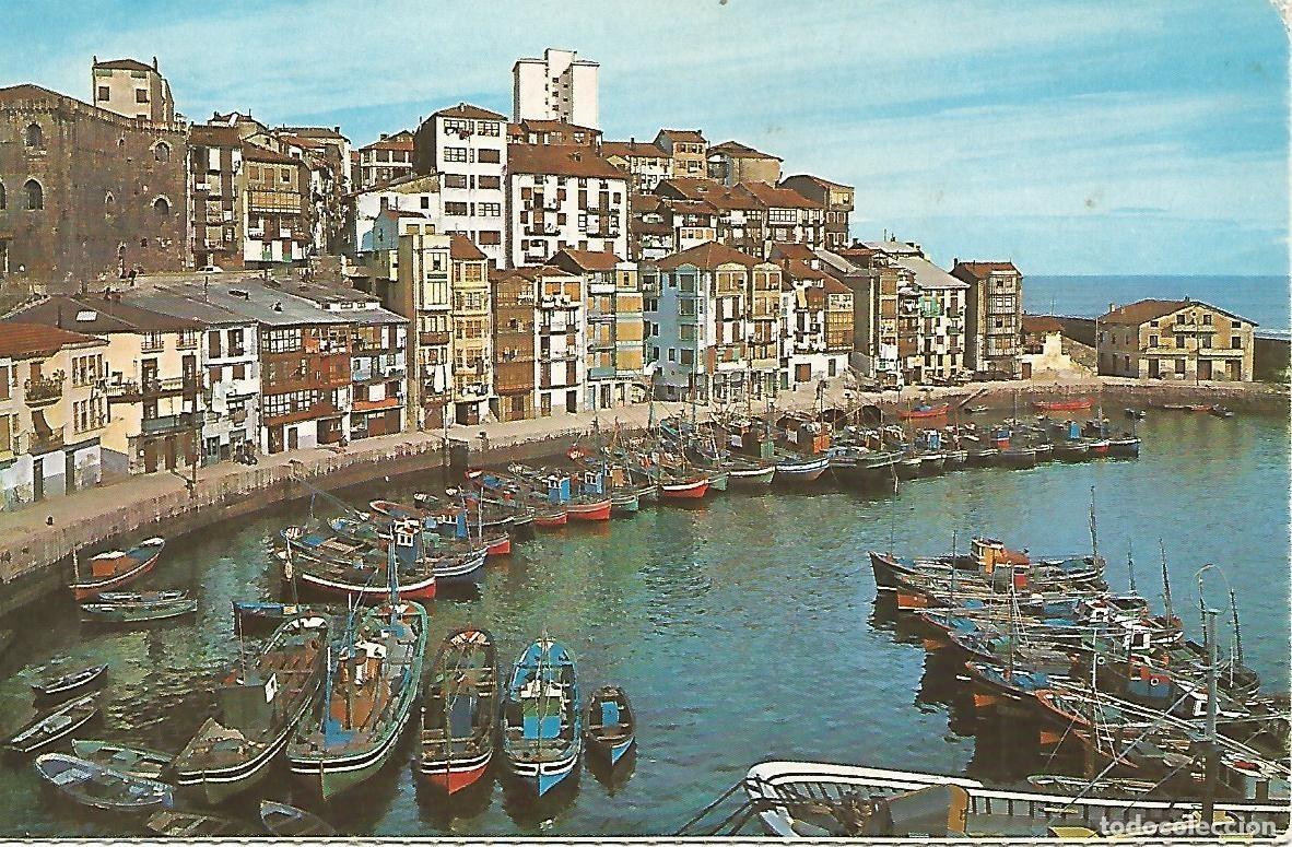 Postkarten: Postal 50182: BERMEO - Puerto viejo