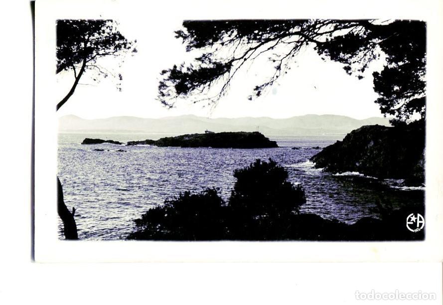 Postales: Postal 16443: ST RAPHAEL - Le Lion de Terre - Varios