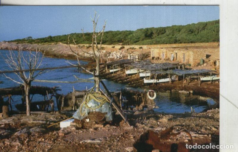Postales: Postal 4095 : Formentera: Esturren de Lalga Michorn - Varios