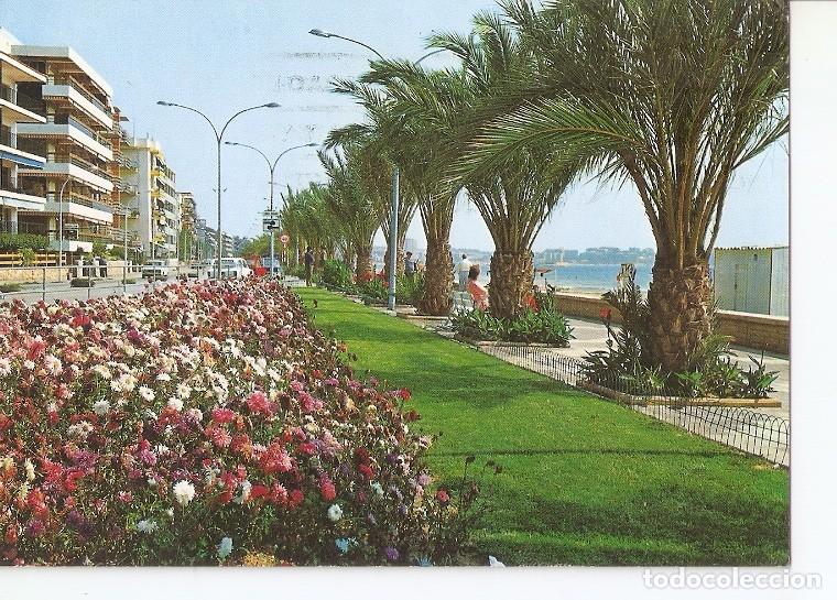Postkarten: Postal 049251 : Costa Dorada Salou. Paseo Miramar - Varios
