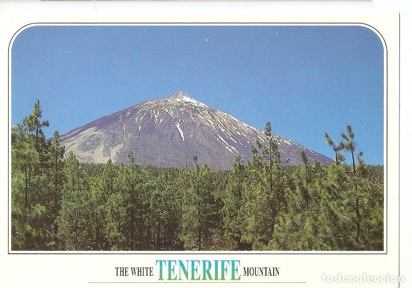 Postais: Postal 049889 : Tenerife. El Teide - Varios