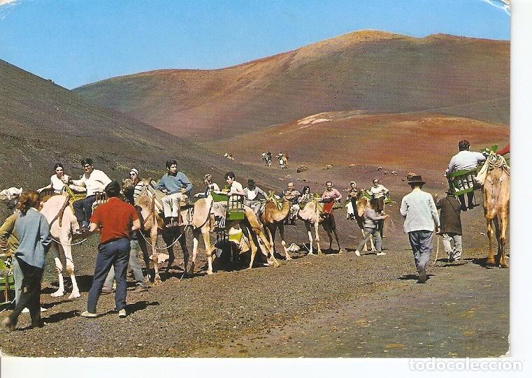Postais: Postal 049752 : Lanzarote. Salida de Camellos a la Monta&ntilde;a del Fuego - Varios