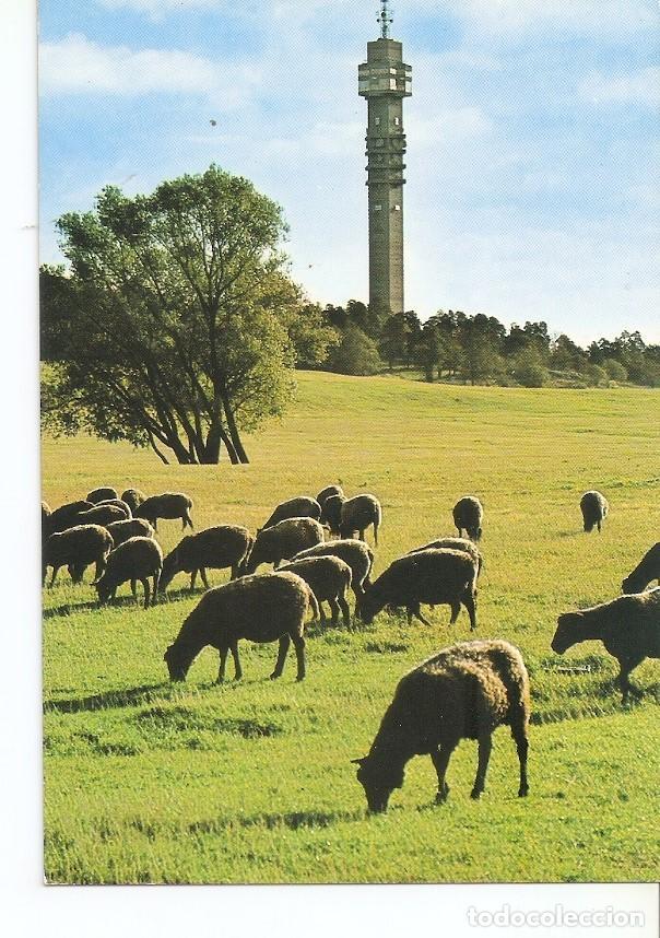 Postkarten: Postal 033405 : Stockholm Kaknastornet - Varios