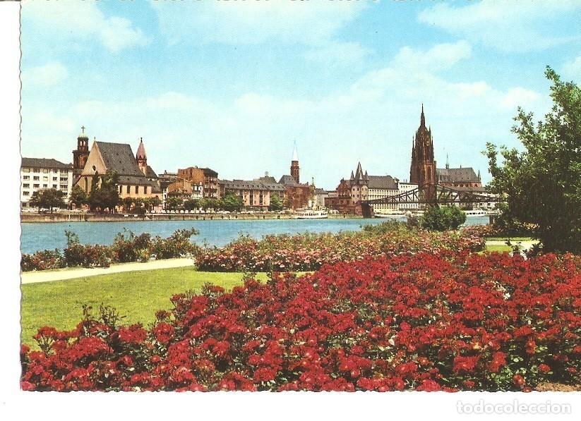 Postkarten: Postal 033595 : Frankfurt. Partie am Main mit Dom - Varios