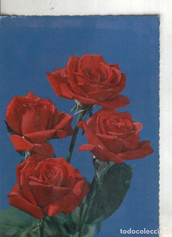 Postales: Postal: Rosas - Varios - Foto 1
