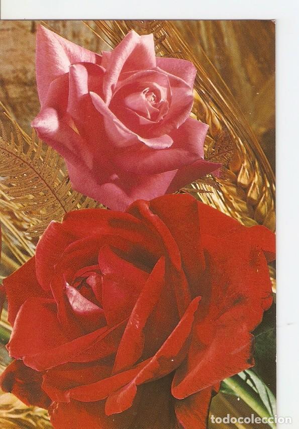 Postales: Postal 028217 : Rosas - Varios - Foto 1