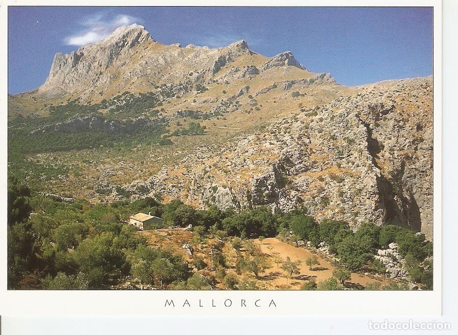 Postais: Postal 043608 : Mallorca. Puig Mayor - Varios