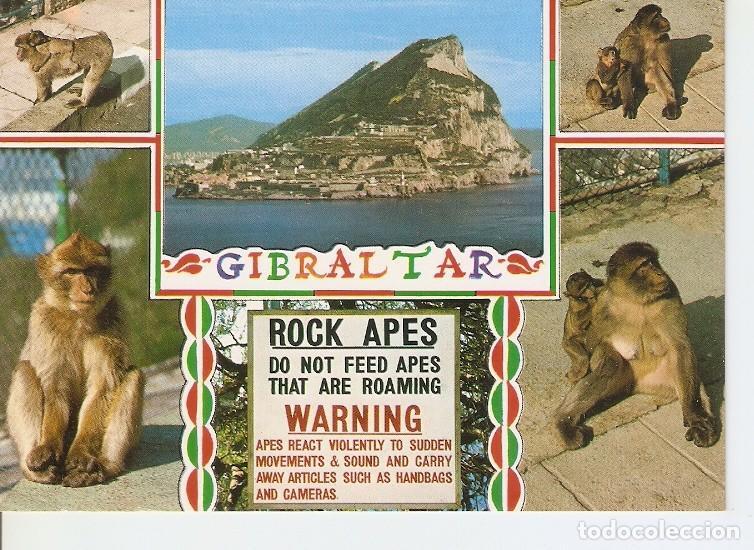 Postales: Postal 049931 : Gibraltar - Varios - Foto 1