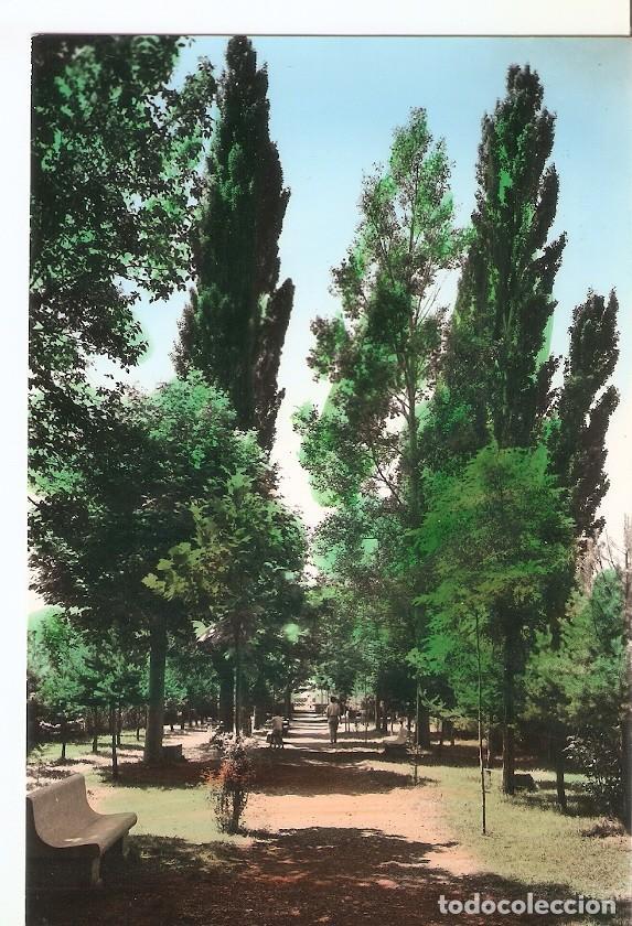 Postales: Postal 032614 : Biescas (Valle de Tena). Un detalle del parque - Varios