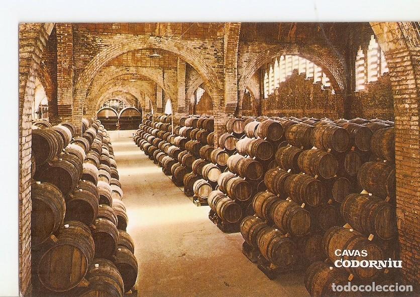 Postales: Postal 024893 : Una bodega. Monumento Nacional. Cavas Codorniu - Varios