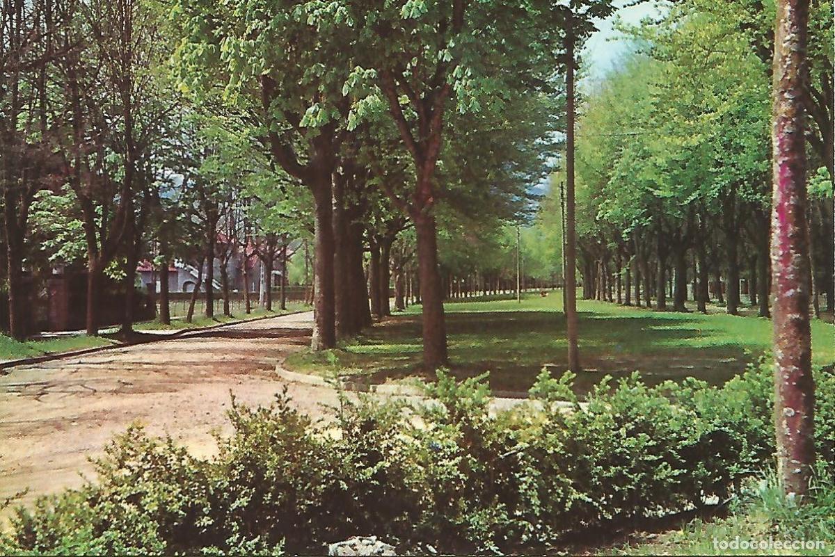 Postales: Postal 50180: CAMPRODON - Avenida Maristany - Foto 1