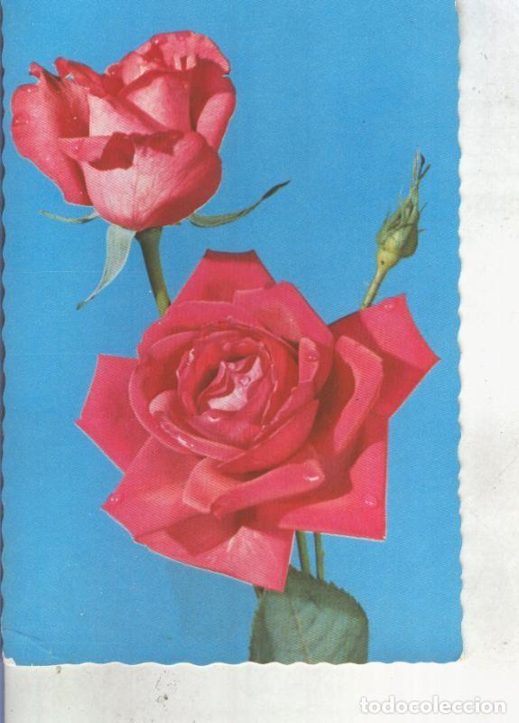 Postales: Postal 013463: Rosas - Varios - Foto 1