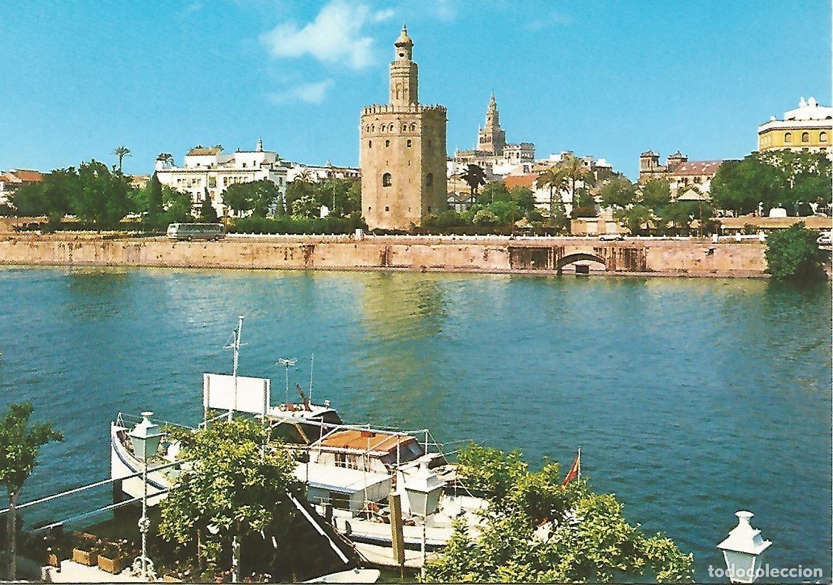 Postcards: Postal 51999: SEVILLA - Torre del Oro - Varios