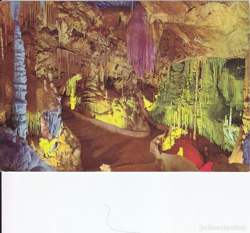 Postkarten: Postal 60535. Cuevas de Campanet sala de la palmera (Mallorca) - Varios