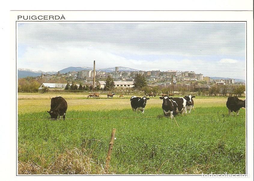 Postais: Postal 039650 : Puigcerda (Girona). Vista general - Varios