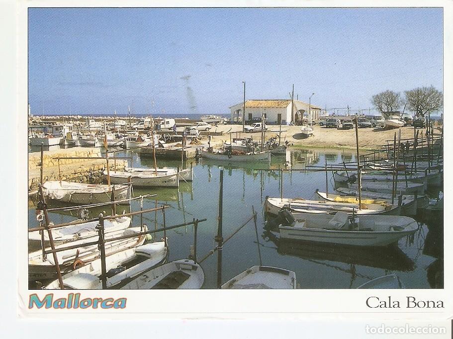 Cartoline: Postal 044326 : Mallorca. Cala Bona - Varios