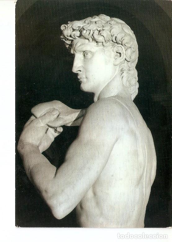 Postales: Postal 022034 : The David, Michelangelo - Varios