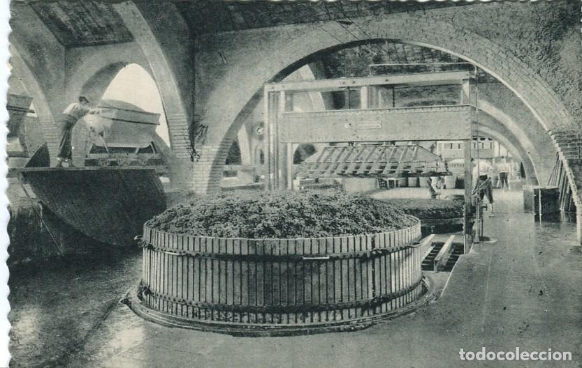 Postales: Postal-Postcard 17277: CASA CODORNIU - Sant Sadurni dAnoia Una de las prensas - Varios