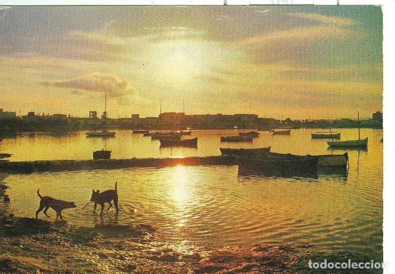 Postkarten: Postal 6282 : Formentera, contraluz - Varios