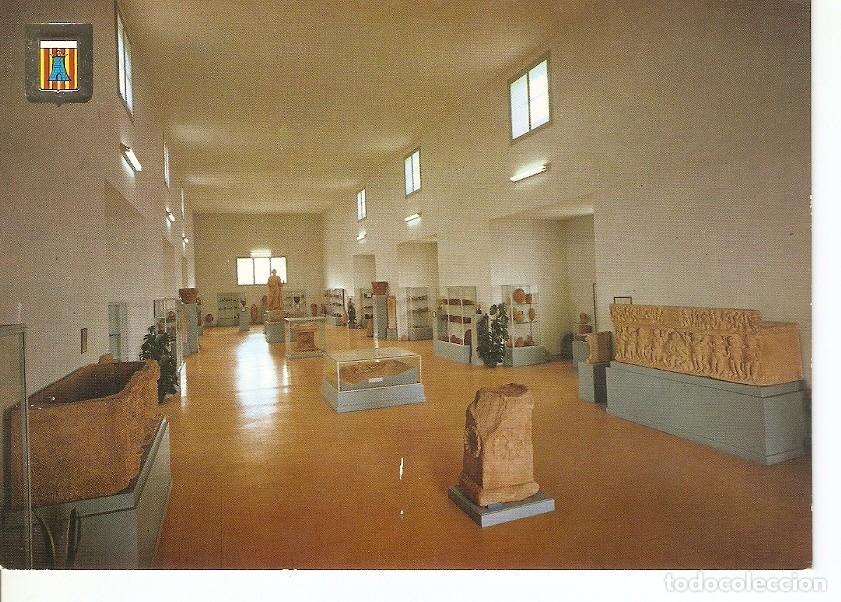 Cartoline: Postal 027763 : Ampurias (Gerona), Sala Principal del Museo Monografico - Varios