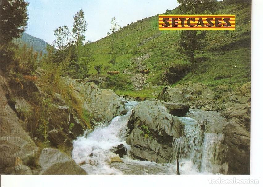 Postkarten: Postal 031108 : Setcases (Girona). Pirineu Catala. Riera de Vall-llobre - Varios