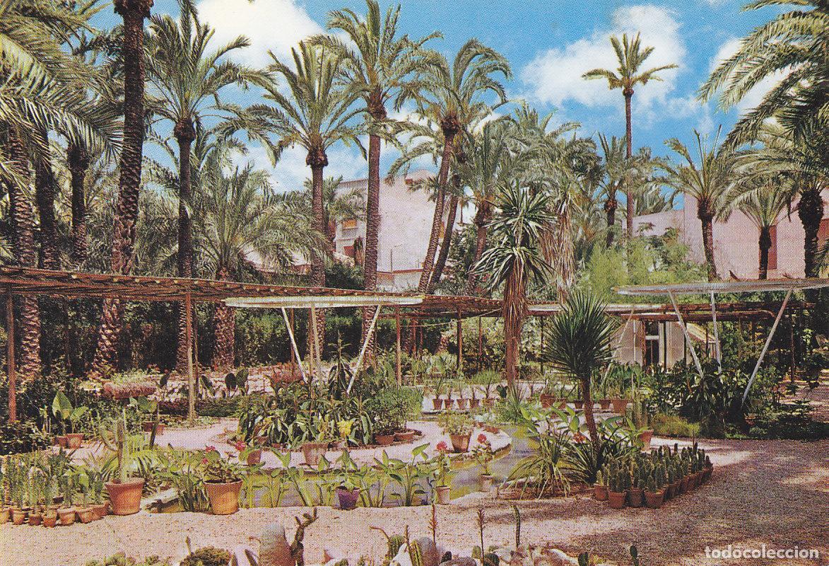 Postcards: Postal 61282 : Elche huerto del Cura. Viveros - Varios