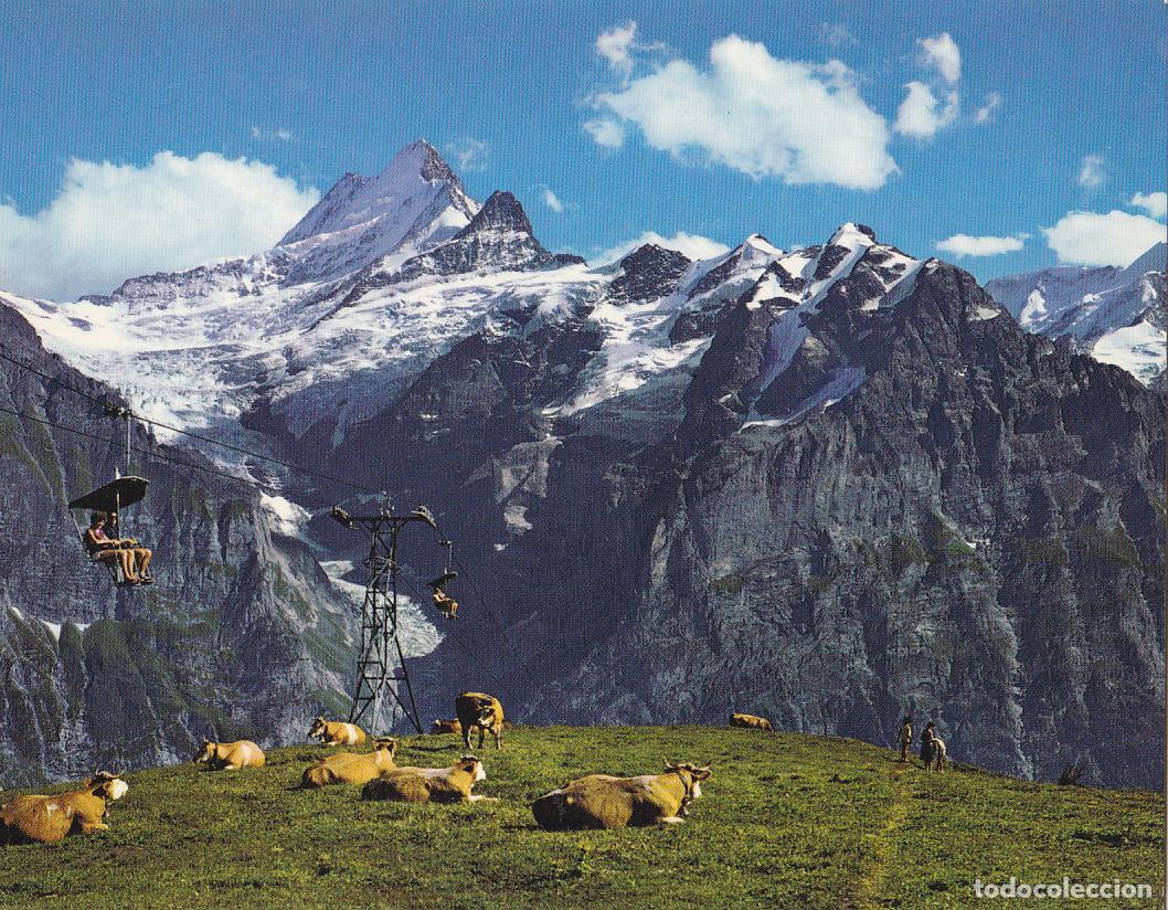 Postkarten: Postal 61472 : Grindelwald First-Bahn. Schereckhorner und Oberer Gletscher - Varios