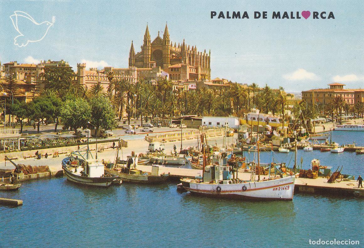 Cartoline: Postal 61504 : Palma de Mallorca. La Catedral desde el Muelle de Pescadores - Varios
