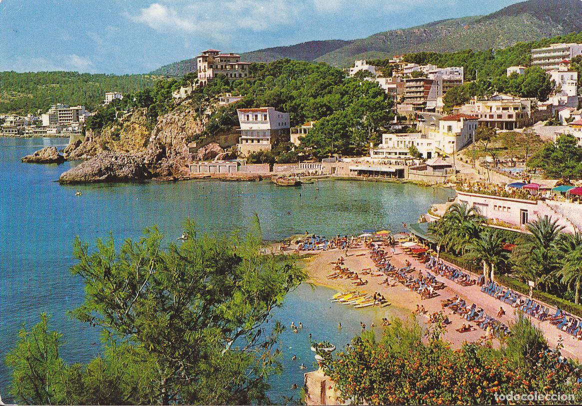 Postkarten: Postal 61728 : Cala Mayor. Mallorca. Detalle - Varios