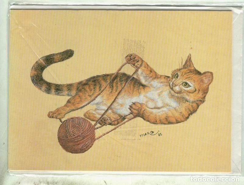 Postales: Postal 000387: Marco - Varios