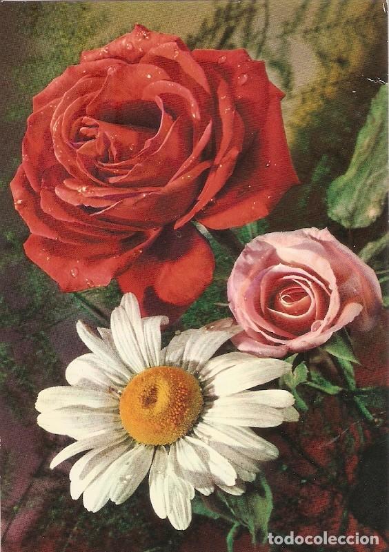 Cartoline: Postal 030881 : Flores - Varios