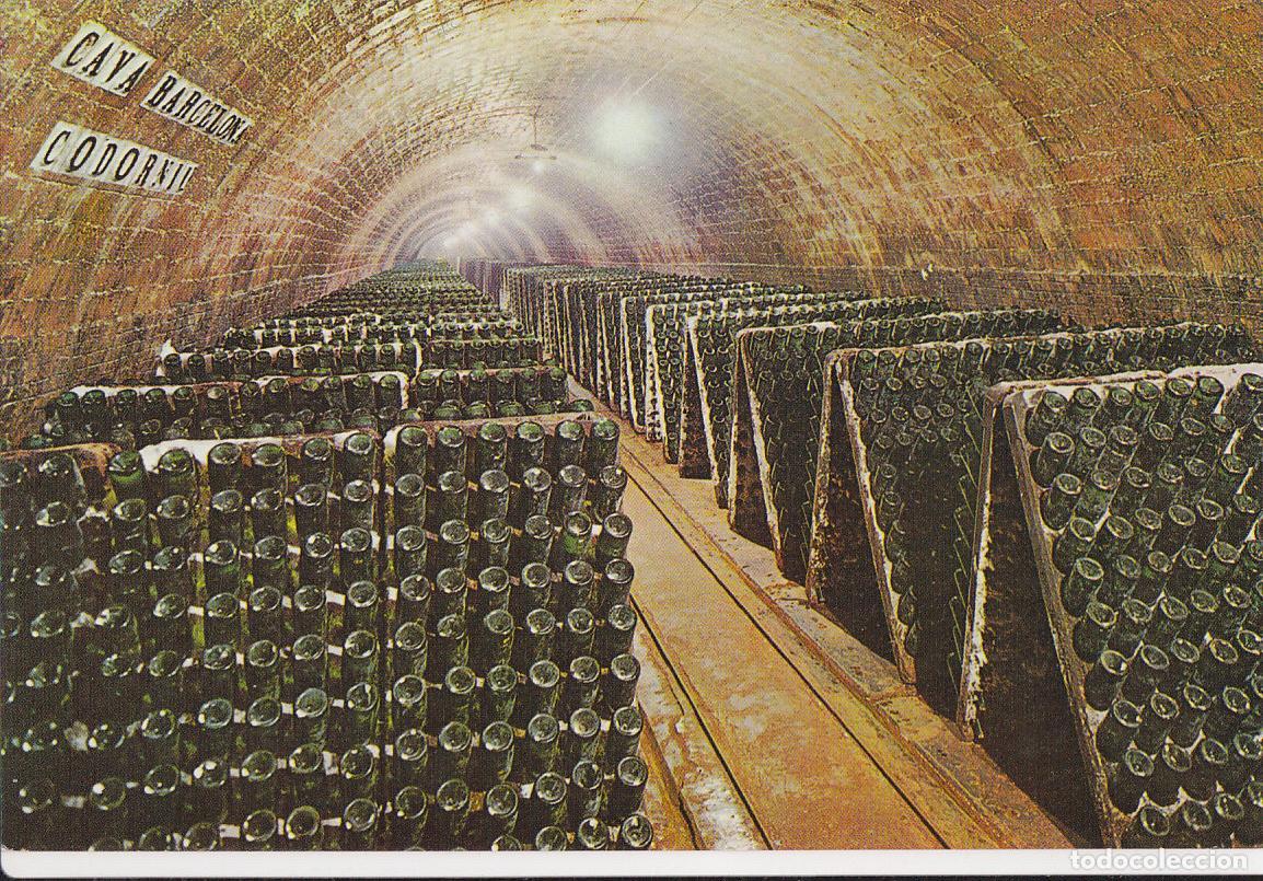 Postales: Postal 62138 : Cavas Codorniu. Botellas en pupitre - Varios