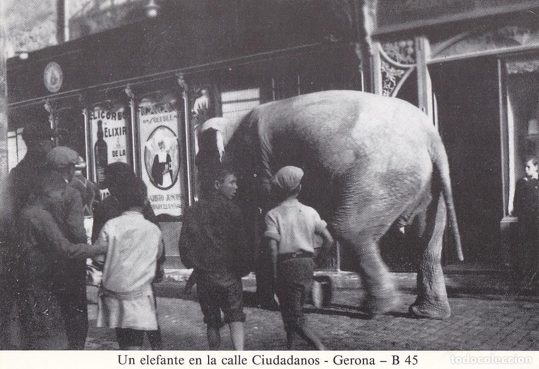 Postais: Postal 62201 : Un elefante en la calle Ciudadanos - Gerona - Varios