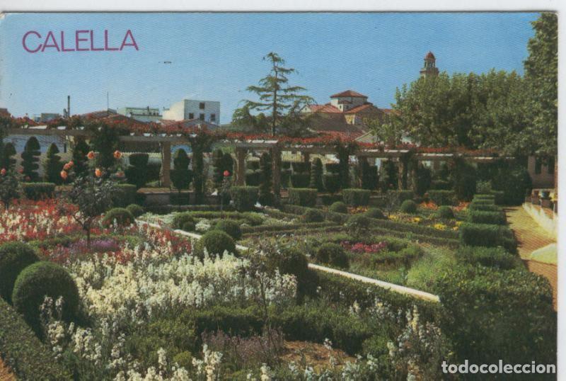 Postales: Postal 6772: Calella: Parque Dalmau - Varios - Foto 1