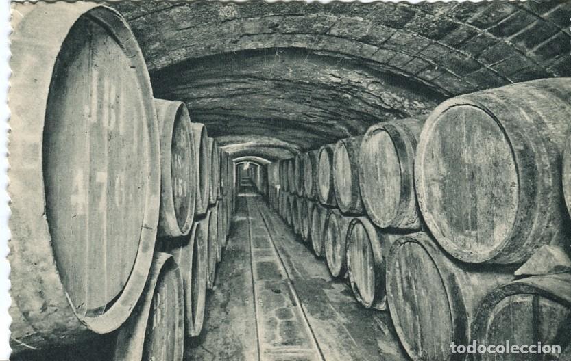 Postales: Postal-Postcard 17292: CASA CODORNIU - Sant Sadurni dAnoia - Vinos en crianza - Varios
