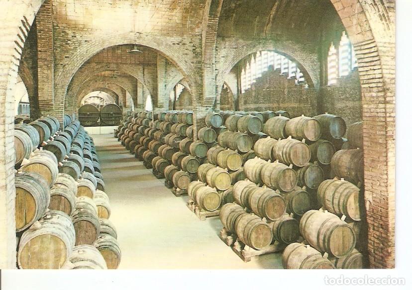 Postales: Postal 024140 : Una bodega. Cavas Codorniu - Varios