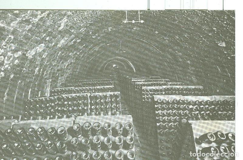 Postales: Postal 6321 : Casa Codorniu modelo numero 10 - Varios