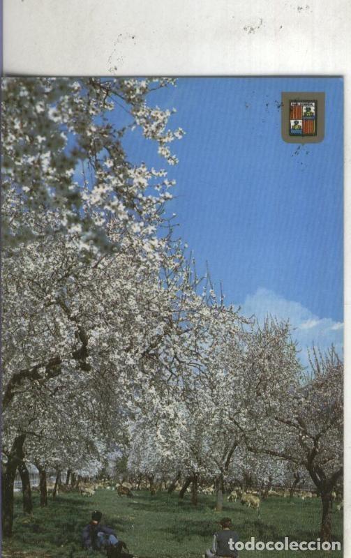 Postais: Postal 4699 : Flor de Almendro en mallorca - Varios