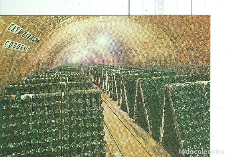 Postales: Postal 6569 : Cavas Codorniu, botellas en pupitre - Varios