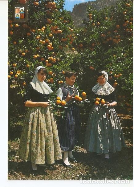 Postkarten: Postal 046969 : Mallorca tipica. Entre naranjos - Varios