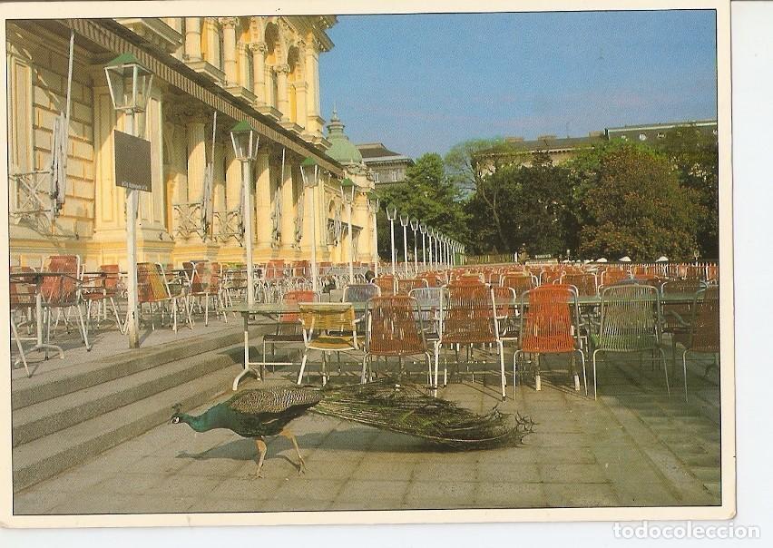 Postais: Postal 037186 : Vienna. Cafe Hubner Stadtpark - Varios