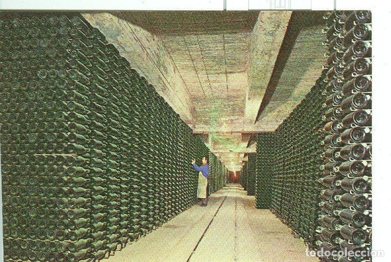 Postales: Postal 6096 : Botellas envejeciendo en Cavas Codorniu - Varios