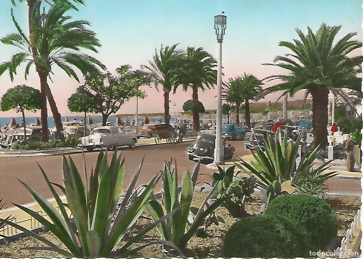 Postais: Postal 52389: NIZA - Vista parcial - Varios